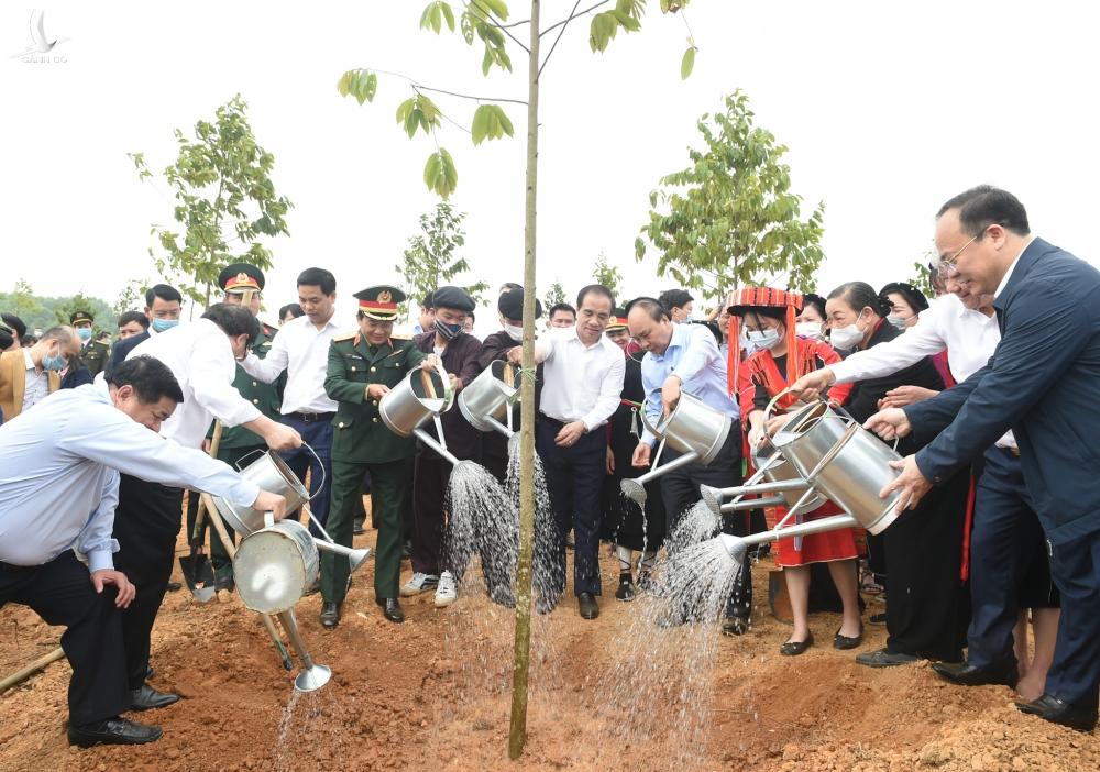 Trồng cây xanh để thúc đẩy quốc kế dân sinh Trồng cây xanh để thúc đẩy quốc kế dân sinh