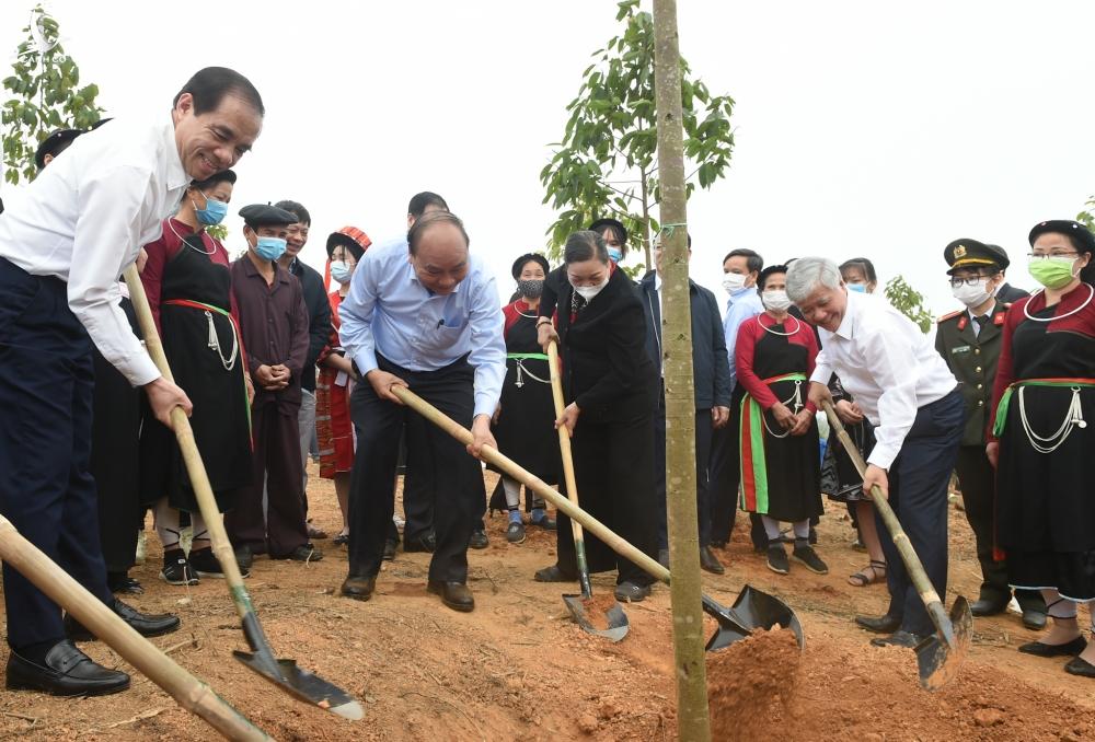 Trồng cây xanh để thúc đẩy quốc kế dân sinh Trồng cây xanh để thúc đẩy quốc kế dân sinh