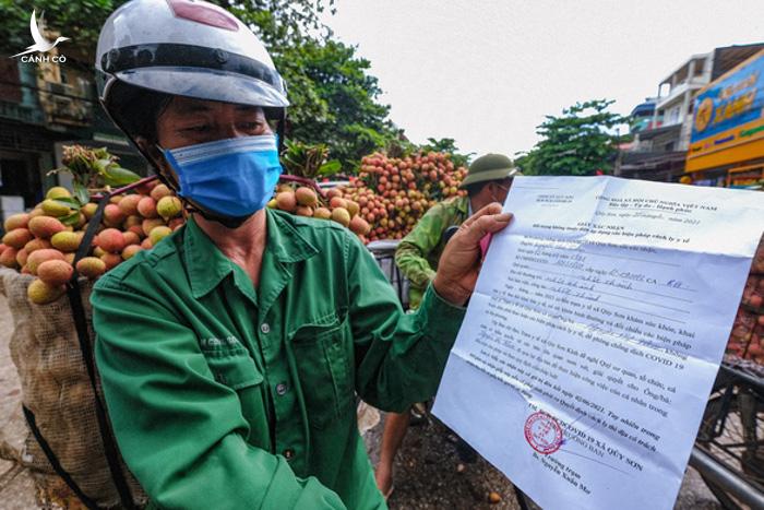 Đừng để những con sâu bẩn trên mạng làm vải thiều mất ngon Đừng để những con sâu bẩn trên mạng làm vải thiều mất ngon