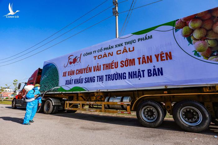 Đừng để những con sâu bẩn trên mạng làm vải thiều mất ngon Đừng để những con sâu bẩn trên mạng làm vải thiều mất ngon