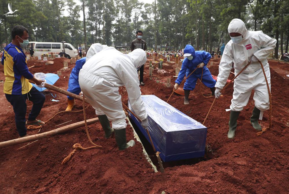 Indonesia náo loạn: Món bình dân ở Việt Nam đang được dân xứ vạn đảo săn như “thần dược” chữa Covid-19 Indonesia náo loạn: Món bình dân ở Việt Nam đang được dân xứ vạn đảo săn như “thần dược” chữa Covid-19