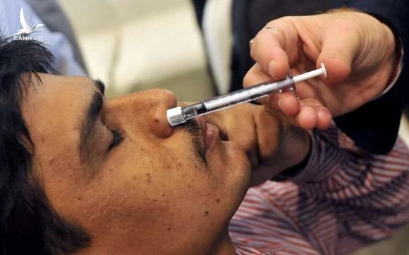 Thông tin về 7 loại vắc xin ngừa COVID dạng xịt mũi