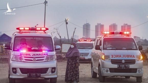 Từ tâm dịch Jakarta: Đại dịch ở Indonesia đã ở vào tình huống khẩn cấp như chiến sự Từ tâm dịch Jakarta: Đại dịch ở Indonesia đã ở vào tình huống khẩn cấp như chiến sự