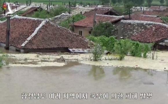 Lũ lụt nhấn chìm hàng nghìn ngôi nhà, hàng trăm cánh đồng tại Triều Tiên