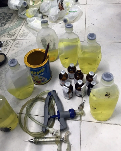 17 cán bộ phải giải trình vì 4.000 con heo bị tiêm thuốc an thần 17 cán bộ phải giải trình vì 4.000 con heo bị tiêm thuốc an thần