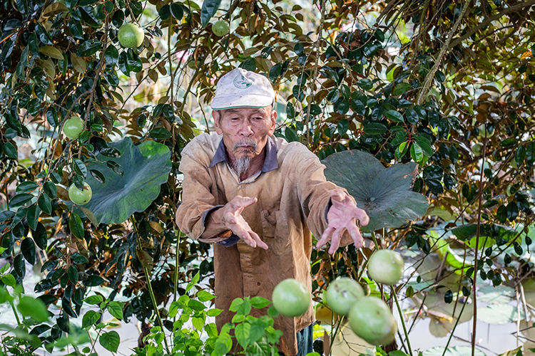 Phi công Nguyễn Văn Bảy - người anh hùng chân đất Phi công Nguyễn Văn Bảy - người anh hùng chân đất