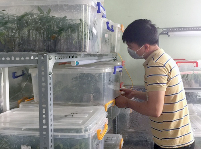 Bắt cựu sinh viên Bách khoa trồng cần sa, truyền đạo trái phép 'Hội Thánh Đức Chúa Trời Mẹ' Bắt cựu sinh viên Bách khoa trồng cần sa, truyền đạo trái phép 'Hội Thánh Đức Chúa Trời Mẹ'