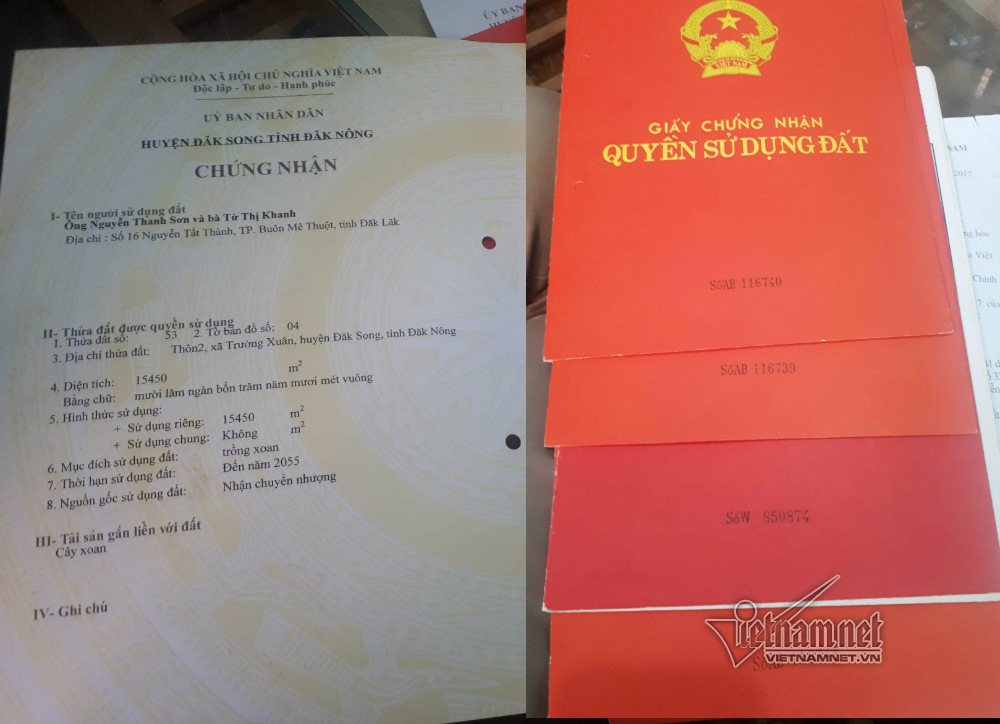 'Tham nhũng' 40ha đất rừng, nguyên thường vụ Tỉnh ủy nhận… huân chương lao động