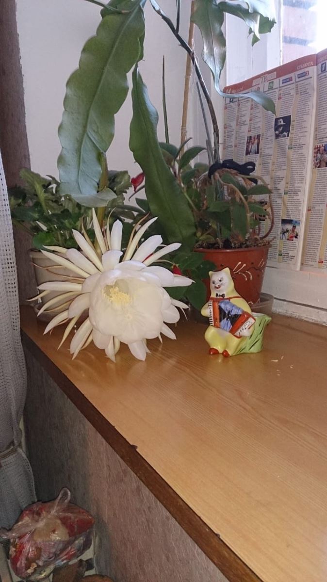 Thiếu tướng Viktor Demyanenko: Luôn bảo vệ Việt Nam như bảo vệ đất nước mình Thiếu tướng Viktor Demyanenko: Luôn bảo vệ Việt Nam như bảo vệ đất nước mình