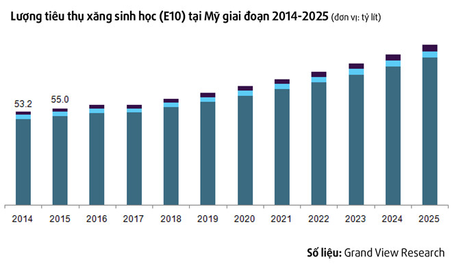 Xăng E5 là gì? và tiếng “kêu” của đám rân chủ
