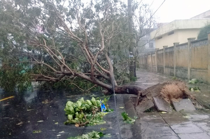 Khánh Hòa và Phú Yên bị bão Damrey tàn phá Khánh Hòa và Phú Yên bị bão Damrey tàn phá