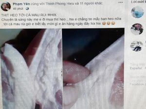 Lập biên bản hai người tung tin thất thiệt về dịch tả heo châu Phi Lập biên bản hai người tung tin thất thiệt về dịch tả heo châu Phi