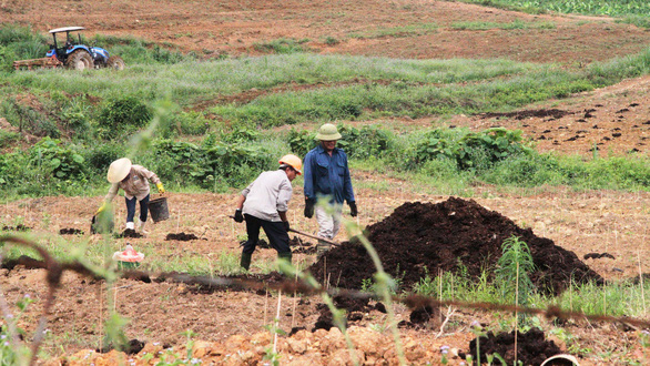 Ông Trần Bắc Hà liên quan gì dự án nuôi bò ở Hà Tĩnh? Ông Trần Bắc Hà liên quan gì dự án nuôi bò ở Hà Tĩnh?
