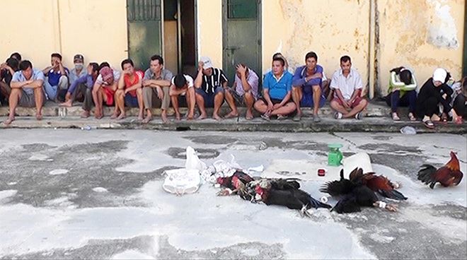 Con trai phó bí thư tỉnh ủy tổ chức đá gà, đánh bạc Con trai phó bí thư tỉnh ủy tổ chức đá gà, đánh bạc