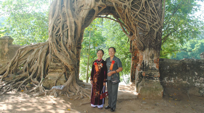 Vợ quan Tri phủ cuối cùng ở Tương Dương Vợ quan Tri phủ cuối cùng ở Tương Dương