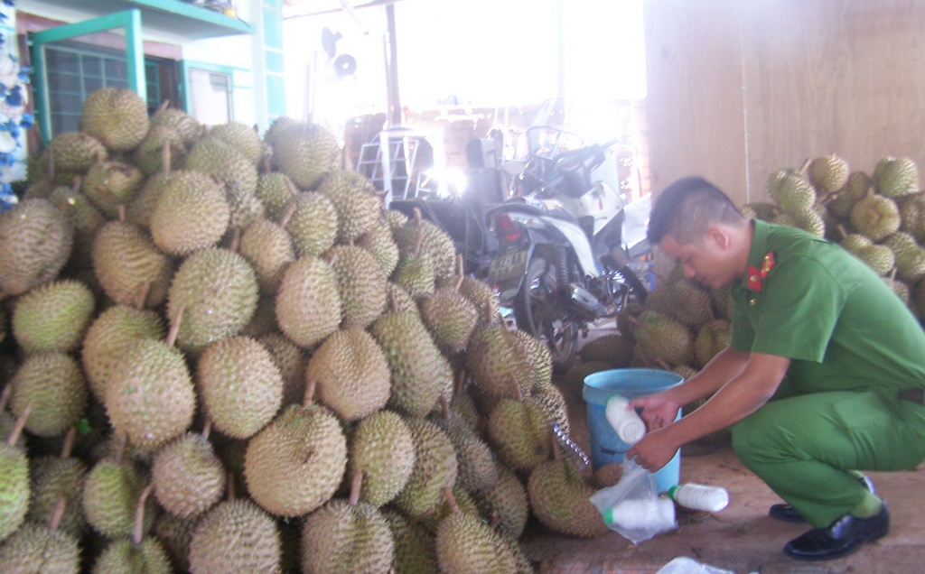 Bắt quả tang cơ sở 'tắm' hóa chất cho sầu riêng