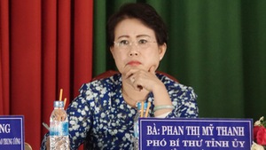 Cách tất cả các chức vụ trong Đảng với bà Phan Thị Mỹ Thanh