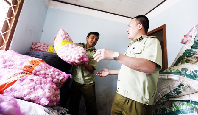 Nhập lậu tỏi và cà rốt Trung Quốc về vùng rau nổi tiếng Đà Lạt