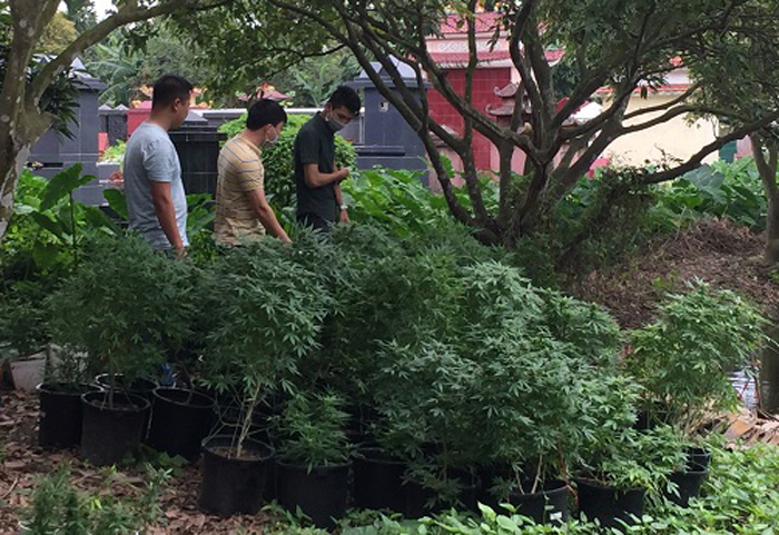 Bắt cựu sinh viên Bách khoa trồng cần sa, truyền đạo trái phép 'Hội Thánh Đức Chúa Trời Mẹ' Bắt cựu sinh viên Bách khoa trồng cần sa, truyền đạo trái phép 'Hội Thánh Đức Chúa Trời Mẹ'