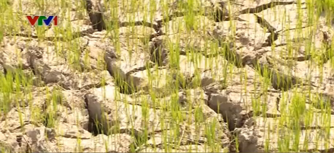 Dự án thủy lợi Rào Nan - Nhìn từ góc độ An ninh nguồn nước.