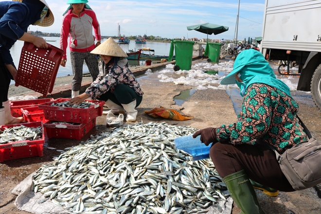 Cảnh giác trước các âm mưu phá hoại cuộc sống bình yên của ngư dân