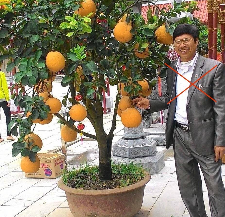 Công an Hoà Bình bắt khẩn cấp giáo viên phản động âm mưu lật đổ chính quyền Công an Hoà Bình bắt khẩn cấp giáo viên phản động âm mưu lật đổ chính quyền