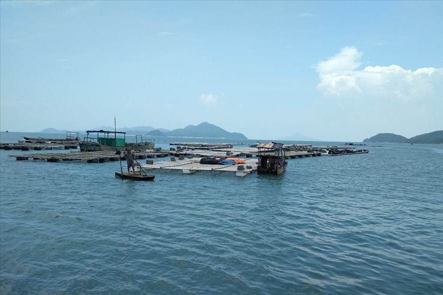 Doanh nghiệp Trung Quốc xin cấp “mỏ cát” trên vùng nuôi thủy sản Doanh nghiệp Trung Quốc xin cấp “mỏ cát” trên vùng nuôi thủy sản