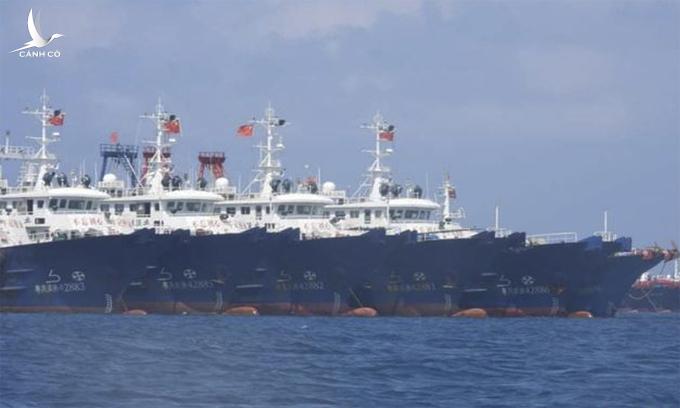 Việt Nam yêu cầu Trung Quốc chấm dứt vi phạm chủ quyền ở lãnh hải Sinh Tồn Đông Việt Nam yêu cầu Trung Quốc chấm dứt vi phạm chủ quyền ở lãnh hải Sinh Tồn Đông