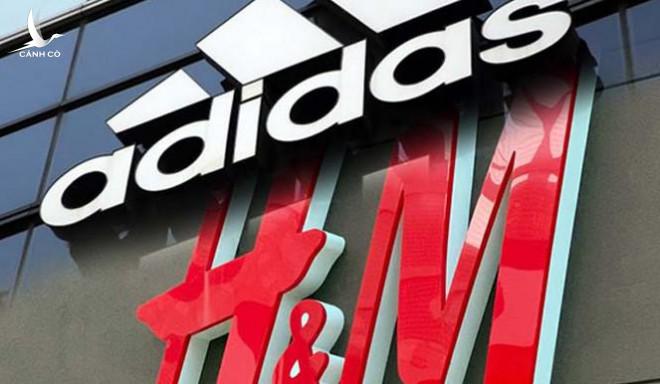 Vì sao Trung Quốc cật lực tẩy chay H&M, Nike..? Vì sao Trung Quốc cật lực tẩy chay H&M, Nike..?