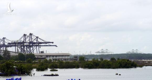 Thủ tướng: Phải làm cho Cái Mép – Thị Vải trở thành cảng biển hiện đại Thủ tướng: Phải làm cho Cái Mép – Thị Vải trở thành cảng biển hiện đại