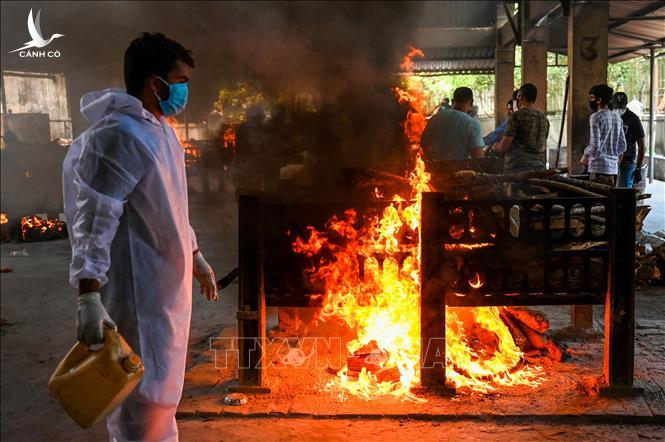 Khi tiền không mua được oxy: Người giàu Ấn Độ cũng không thoát “sóng thần” Covid-19 Khi tiền không mua được oxy: Người giàu Ấn Độ cũng không thoát “sóng thần” Covid-19