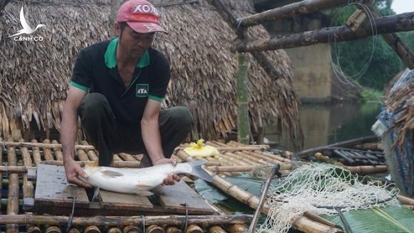 Thủy sản chết hàng loạt trên sông Mã: Người dân vật vã ‘chạy cá’ trong tuyệt vọng Thủy sản chết hàng loạt trên sông Mã: Người dân vật vã ‘chạy cá’ trong tuyệt vọng