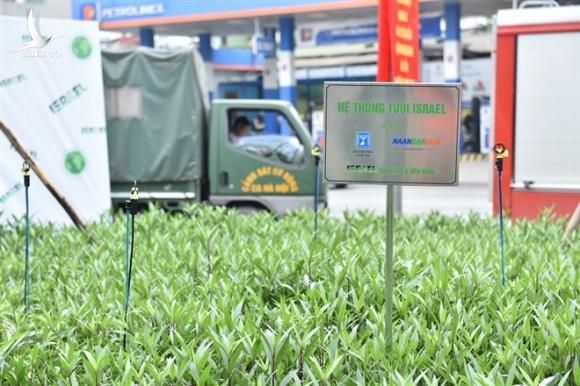 Món quà đặc biệt đại sứ quán Israel tặng người dân Hà Nội