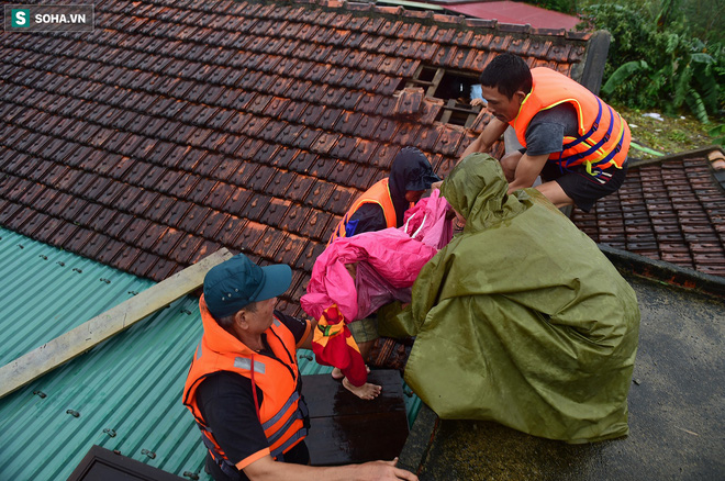 Những nhà hảo tâm đáng thương: Trái tim nhầm chỗ để trên đầu!