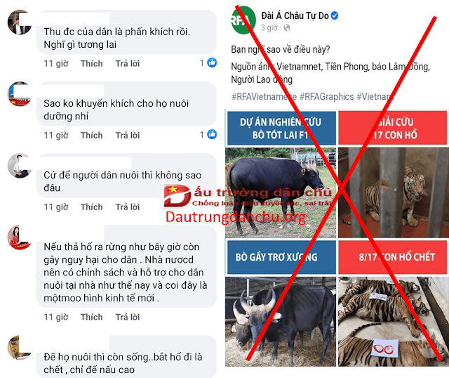 Lợi dụng việc 8/17 con hổ bị chết sau giải cứu để kích hoạt thuyết âm mưu Lợi dụng việc 8/17 con hổ bị chết sau giải cứu để kích hoạt thuyết âm mưu