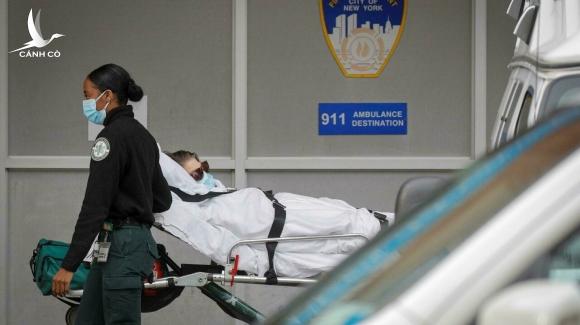 Quan chức y tế Mỹ: ‘Chúng ta đang phải trả cái giá thật tồi tệ’ Quan chức y tế Mỹ: ‘Chúng ta đang phải trả cái giá thật tồi tệ’