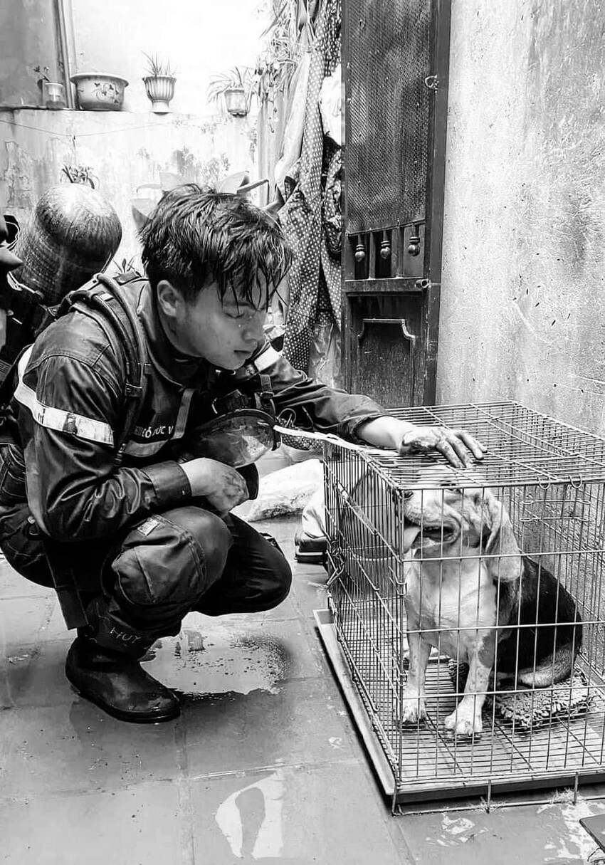 Xúc động di ảnh Trung uý Đỗ Đức Việt bên chú cún được cứu sau đám cháy
