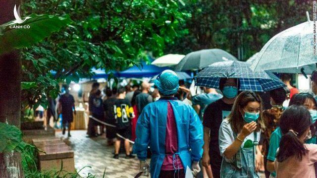 Bức tranh đối lập, đi ngược xu thế của riêng Trung Quốc