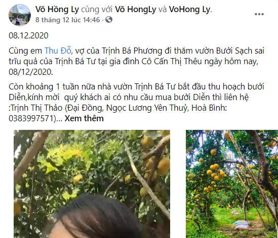 Chuyện bán bưởi của Trịnh Thị Thảo...