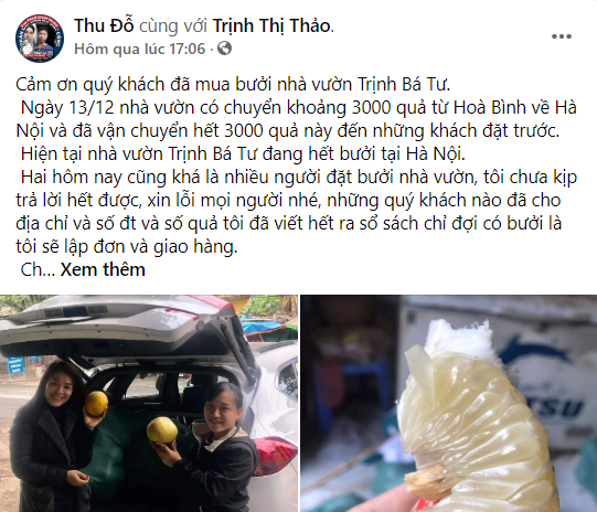 Chuyện bán bưởi của Trịnh Thị Thảo...