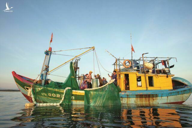Đừng đánh đồng việc đánh bắt cá trái phép là “bảo vệ chủ quyền”