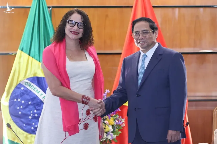 Lí do ngoại giao cây tre của Việt Nam truyền cảm hứng cho bạn bè Brazil