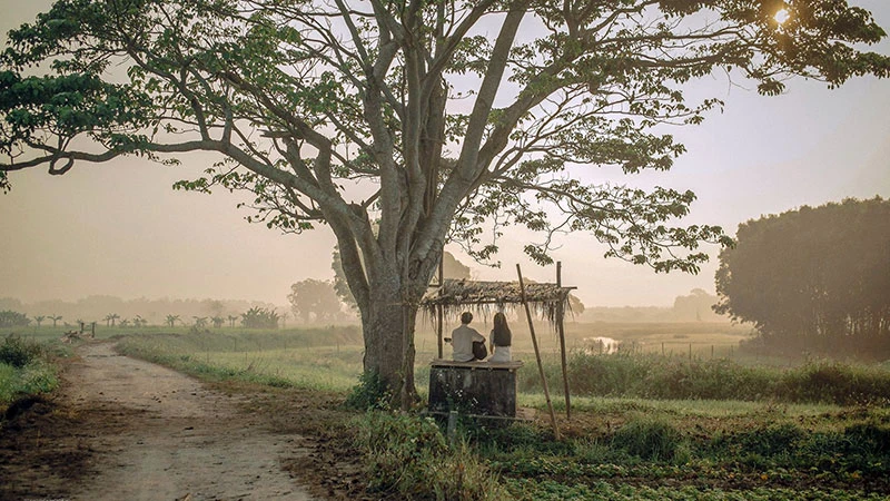 Ranh giới của nghệ thuật Ranh giới của nghệ thuật